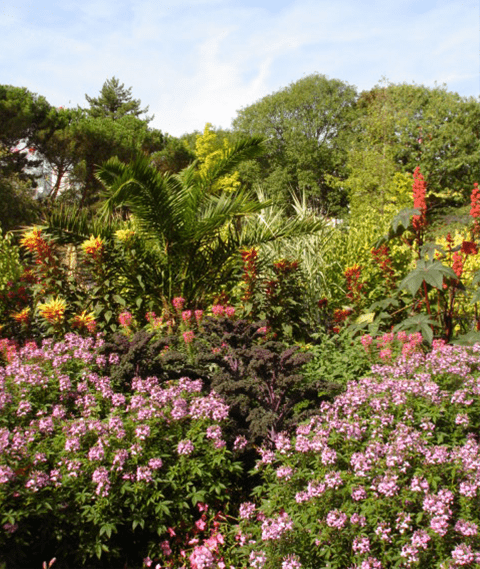 jardin Boulogne