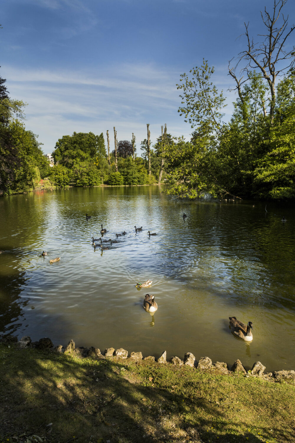 Le Parc Rothschild – Image 2